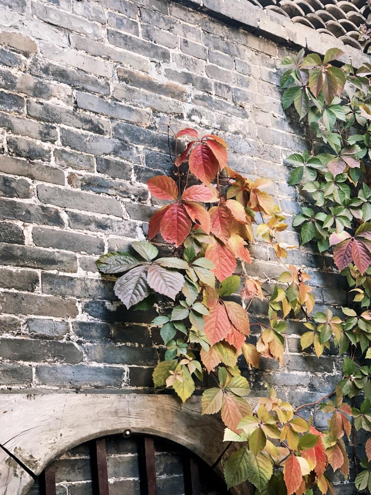 Elsewhere Hotel Inn Ancient City Center Branch Pingyao Esterno foto